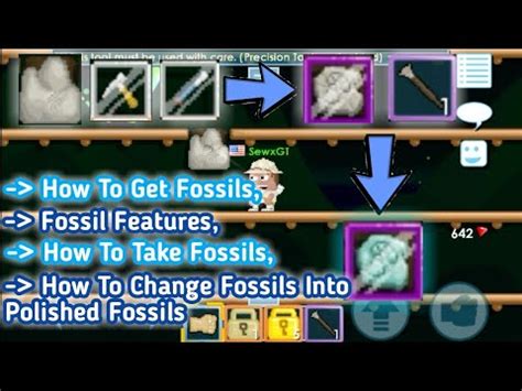 polished fossil growtopia|Difference between P.fossils and Normal fossils .